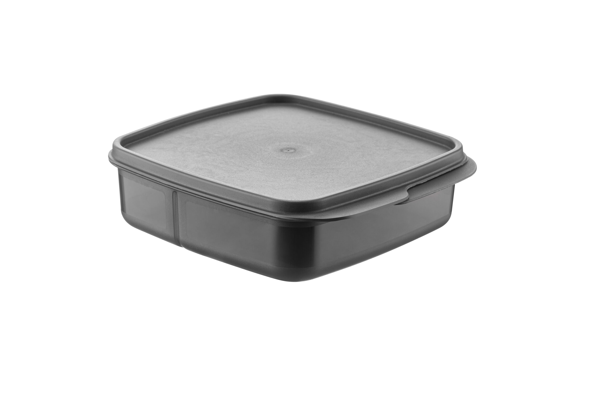 New Square Divided Storage Container