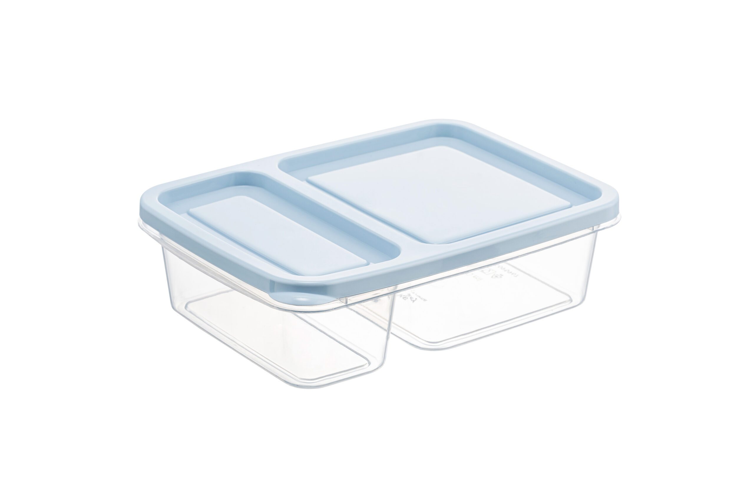 NEW RECTANGULAR DIVIDED STORAGE CONTAINER